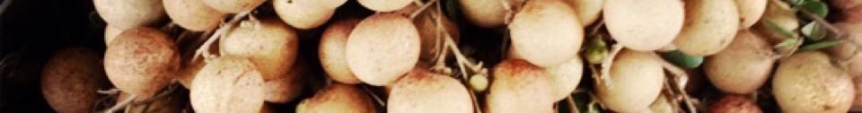 image-2311790-in_header_29.jpg