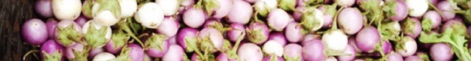 image-2311700-header_24.jpg