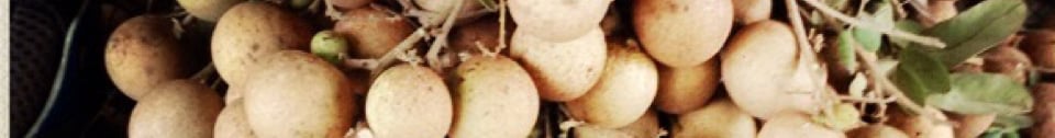 image-2311790-in_header_29.jpg